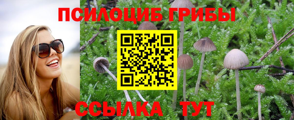 Галлюциногенные грибы прущие грибы Юрга